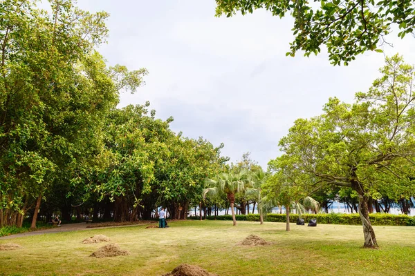 Поляна в парке с кошеной травой — стоковое фото