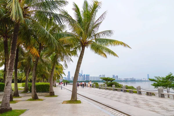 Parque com palmeiras no passeio da cidade — Fotografia de Stock