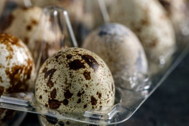 taze bıldırcın yumurtası