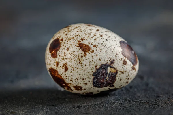 Fresh quail eggs — Stock Photo, Image