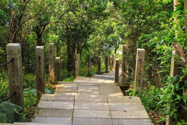 Dağlardan inen Shenzhen, Çin, Asya