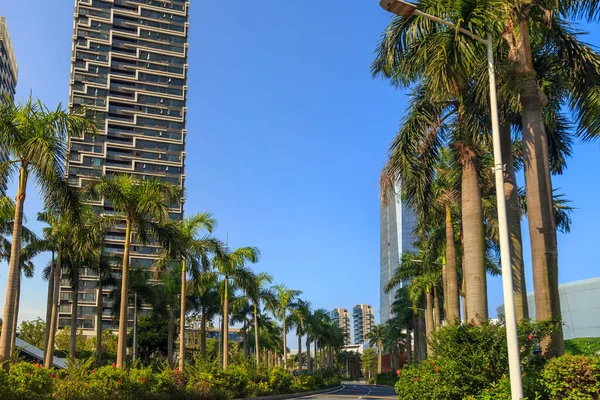 Edifícios Arranha Céus Cidade Tempo Ensolarado Claro Com Verdes Tropicais — Fotografia de Stock