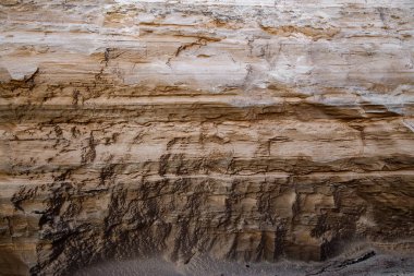 Baltık Denizi 'ndeki şist kumtaşı dokusu. Kıyıyı fırtınalar kapladı..