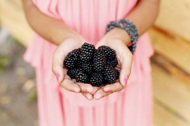 erkek holding böğürtlen eller 