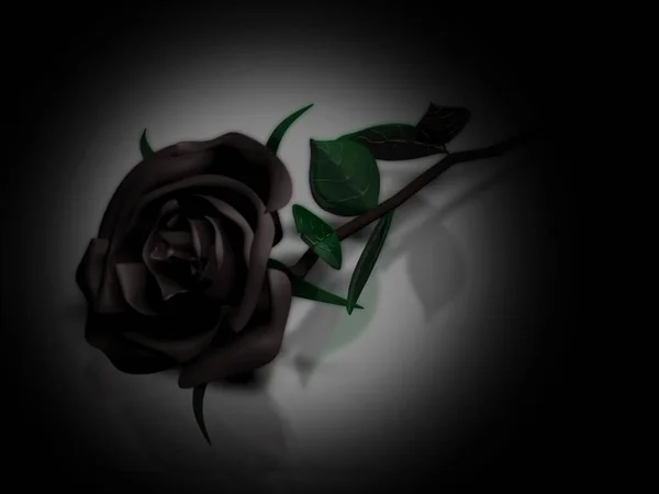 Fekete Rózsa Egy Fehér Háttér Dering Renderelés — Stock Fotó