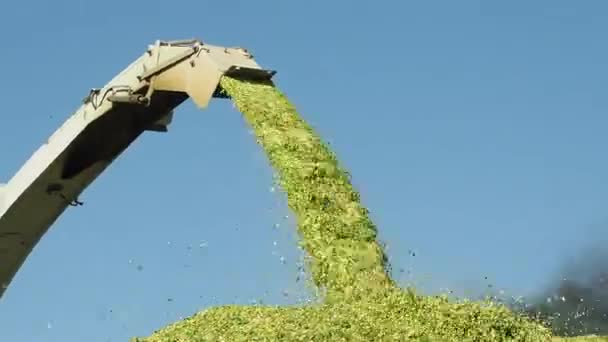 Makinelerle tarladan hasat yapılıyor. — Stok video