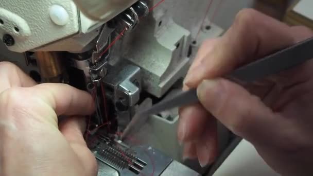 Installing nobody in a sewing machine close up — Stock Video