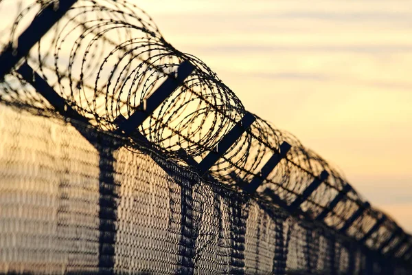 Barbed wire steel wall against the immigrations in europe — Stock Photo, Image