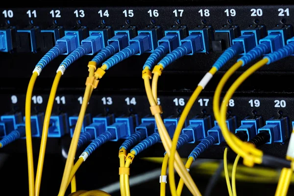 Modrá optických konektorů přepnout na panelu opravy — Stock fotografie