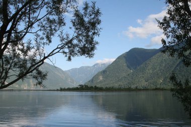 Altay. Yaz aylarında göl Teletskoe