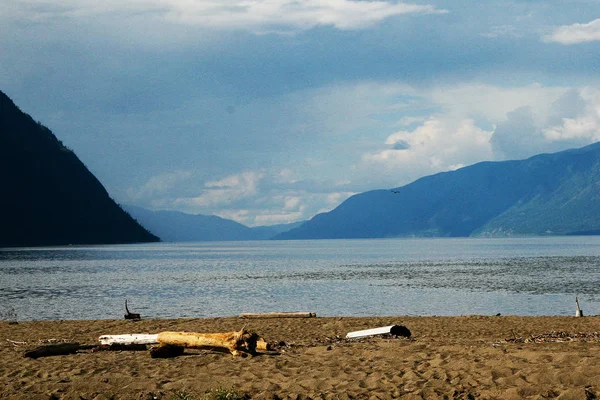 Altai. Lake Teletskoe in summer — Stock Photo, Image