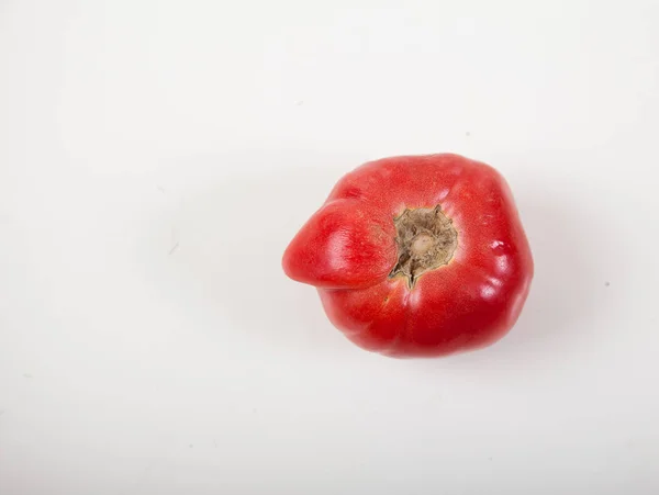 Moche tomate sur fond blanc. Horizontalement. Des légumes laids. Légumes déformés. Copiez les spaes. Pose plate — Photo