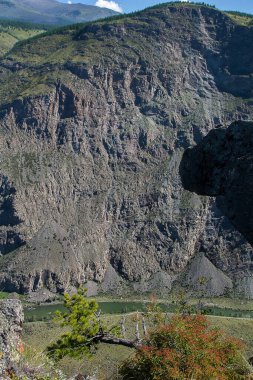 Yazın Altai 'deki Chulyshman nehri vadisinde dağın dik yamacı. - Rusya. Turizm. Seyahat et. Sibirya.