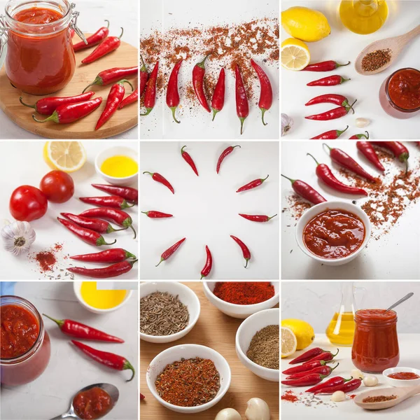 Collage Van Harissa Specerijen Specerijen Paprika Tomaten Een Lichte Achtergrond — Stockfoto