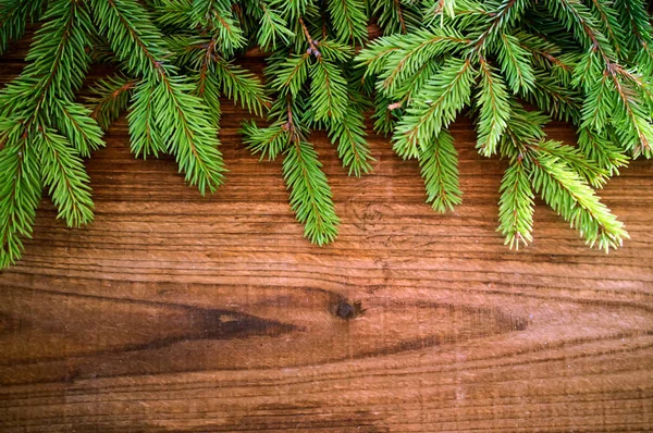 Spruce branches on the wooden background — Stock Photo, Image