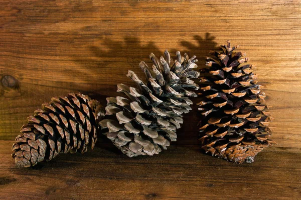 Cones de abeto e pinheiro em um fundo de madeira — Fotografia de Stock