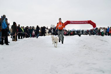 Kharkiv - Ocak 14: kızak köpek yarış. Köpekle sporcu ishal üstünde 