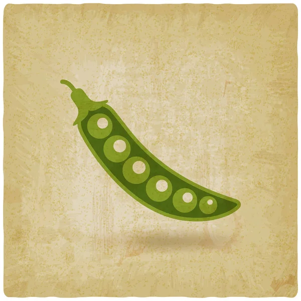 Green pea pod old background — Stock Vector