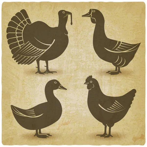 Poultry black silhouette set Domestic fowls icons vintage background — 스톡 벡터