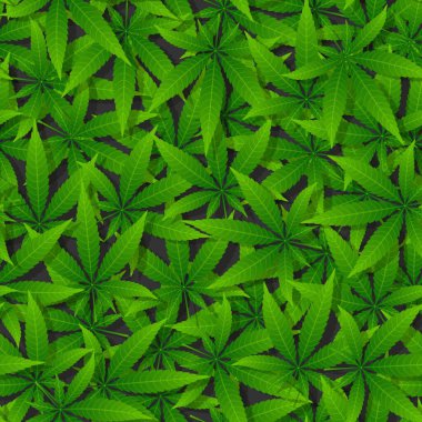 Green cannabis leaf seamless pattern