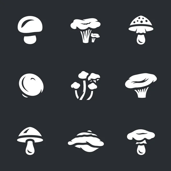 Vector Set of Mushrooms. — Stock Vector