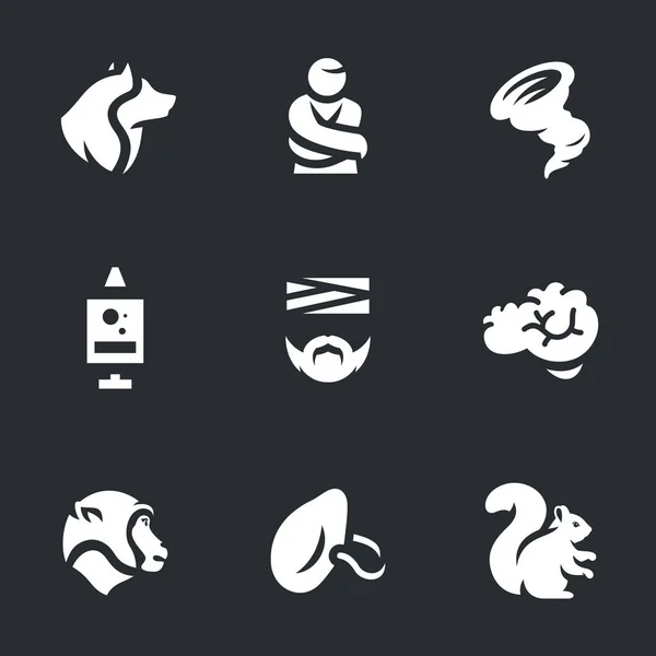 Vector Nuthouse Icons Set. — Stockvector