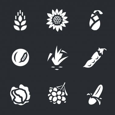 Hasat simgeler vektör kümesi.