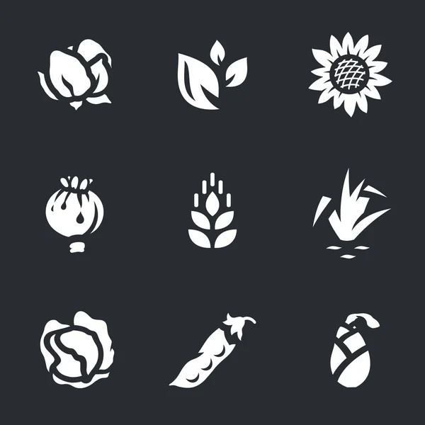 Векторный набор иконок урожая . — стоковый вектор