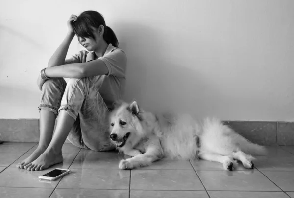 Loneliness Woman Sitting Wall Her Dog Unhappy Feeling Upset Tried — Stock Photo, Image