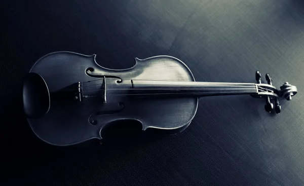 Den Abstrakta Konst Design Bakgrund Trä Violin Sätta Bakgrunden Visa — Stockfoto