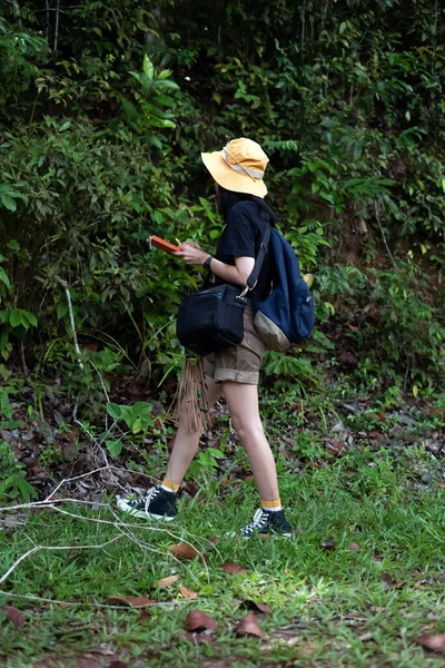 年轻的女士手里拿着一本书 在森林里探索树叶 地质学家和现场勘测员 国家公园里的自然小径 娱乐活动 节假日 — 图库照片