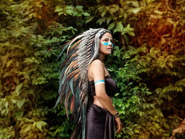 Kuş Tüylerinden Yapılmış Başlık Takan Güzel Kadın Yanağında Mavi Boya — Stok fotoğraf