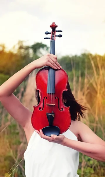 女人举起小提琴 闭上她的脸 模特儿用音响器材摆姿势 在公园里 艺术风格 经典的色调 周围模糊的灯光 — 图库照片