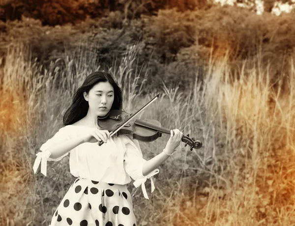 Абстрактный Дизайн Фона Красивой Женщины Играющей Скрипке Лесу Винтажный Тон — стоковое фото