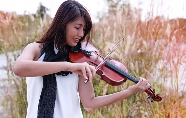 那个拉小提琴的漂亮女人 有着快乐的感觉 有肖像画的姿势 有乡村风貌 周围的光线模糊 — 图库照片