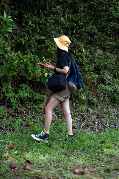 在森林里散步的美丽女人 在国家公园里的自然小径 — 图库照片