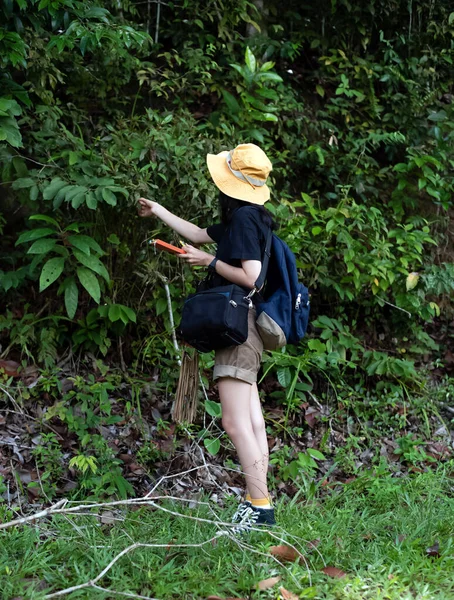 手に本を持っている若い女性 葉を探索 森の中で途中で 地質学者やサイト測量 国立公園の自然歩道 レクリエーション活動 休日に — ストック写真