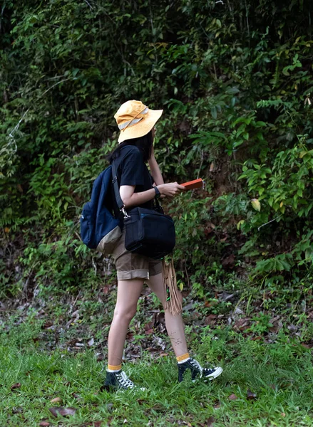 Jovem Senhora Segurando Livro Mão Explorar Folhas Caminho Floresta Geólogo — Fotografia de Stock