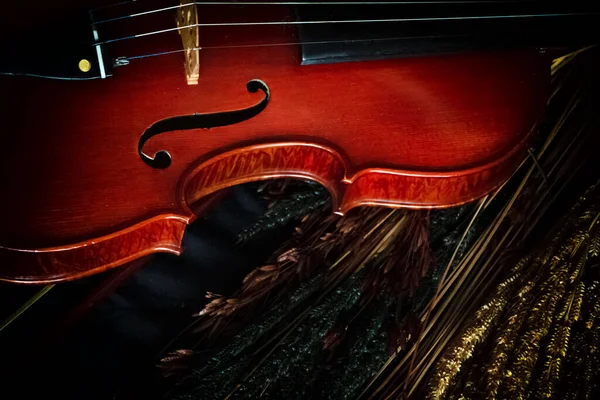 Demi Violon Face Avant Revêtu Fleurs Floues Ton Vintage Art — Photo