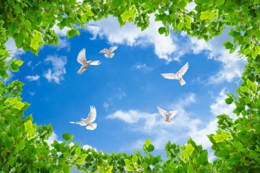 Gökyüzünde yeşil yapraklar ve güvercinler