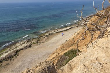 Akdeniz kıyısında..