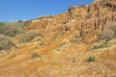 Akdeniz kıyısında..