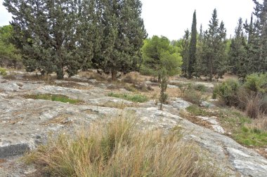 İsrail parkta. Samiriye.