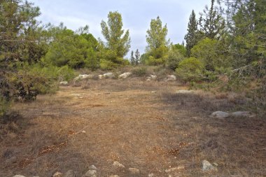 İsrail parkta. Samiriye.