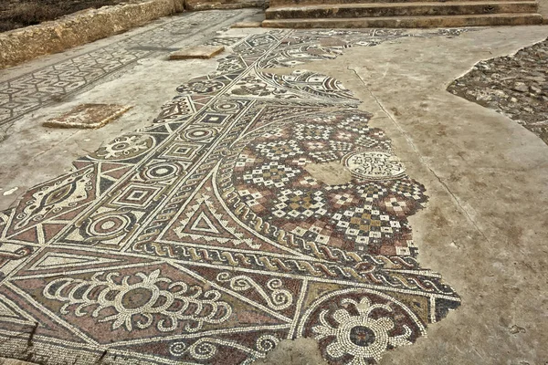 Park in Israel. Samaria. Greek Ancient mosaic. — Stock Photo, Image