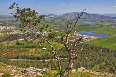 İsrail doğası. Mount beratını.