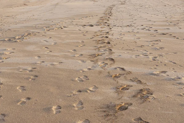 Footprints along the sand of a deserted seashore beach — 스톡 사진