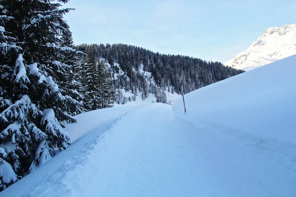 Зимова сніжна дорога в сосновому лісі або соснових лісах в Муні. — стокове фото
