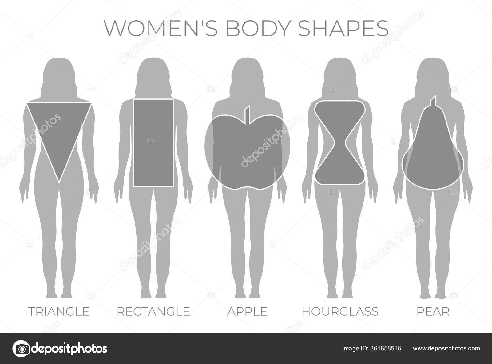Woman Body Shapes Triangle Rectangle Apple Pear Hourglass Stock