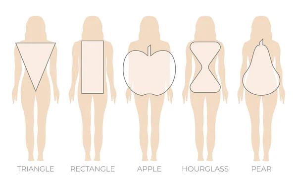 Triángulo Forma Corporal Mujer Rectángulo Manzana Pera Reloj Arena — Vector de stock